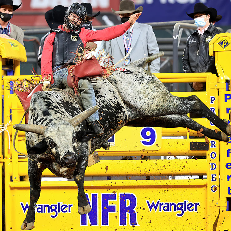 United Pro Rodeo We Bring Excitement to Rodeo